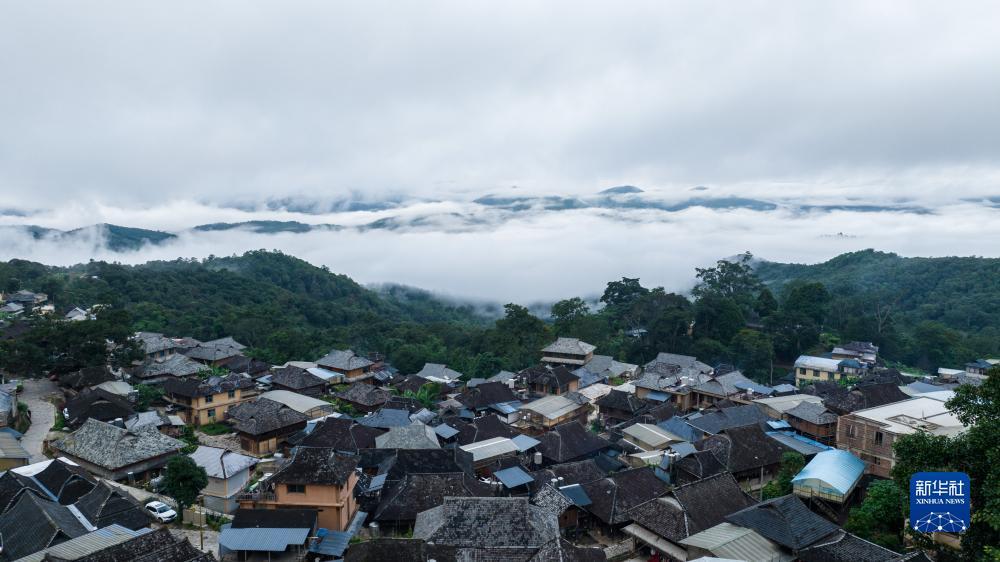 百富策略手机
